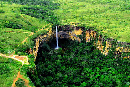 forêt amazonienne